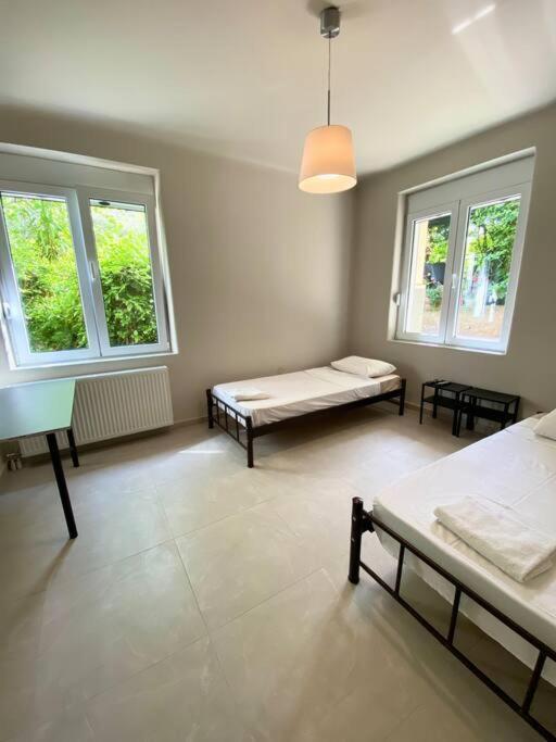 אתונה Amazon Spacious 3Bedroom Premium Neighbourhood מראה חיצוני תמונה